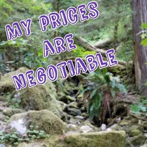 💗 My prices are negotiable 💗